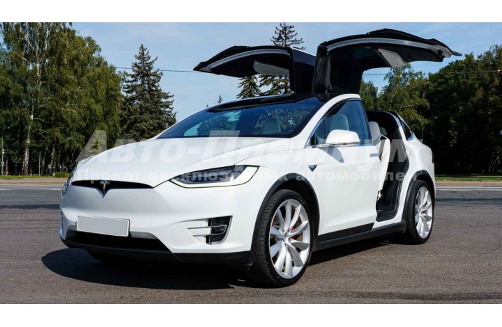 Tesla model X white